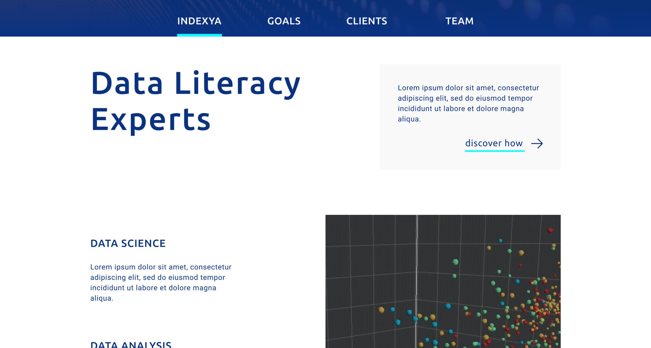 hedron design indexya website data literacy ui mockup